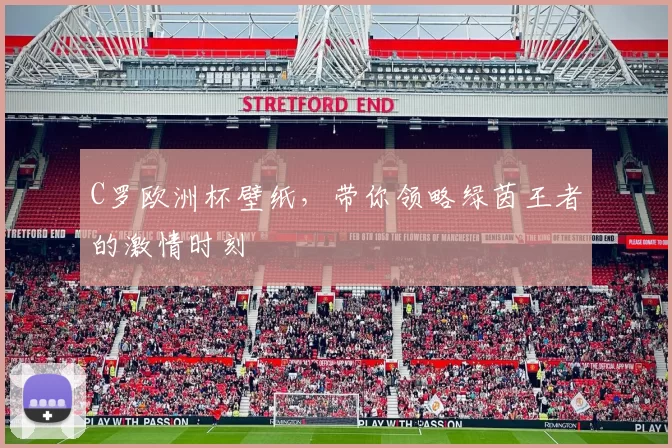 C罗欧洲杯壁纸，带你领略绿茵王者的激情时刻